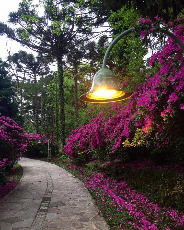 Apartamento Refugio Do Ipe Em Gramado - Proximo Ao Lago Negro Exterior foto